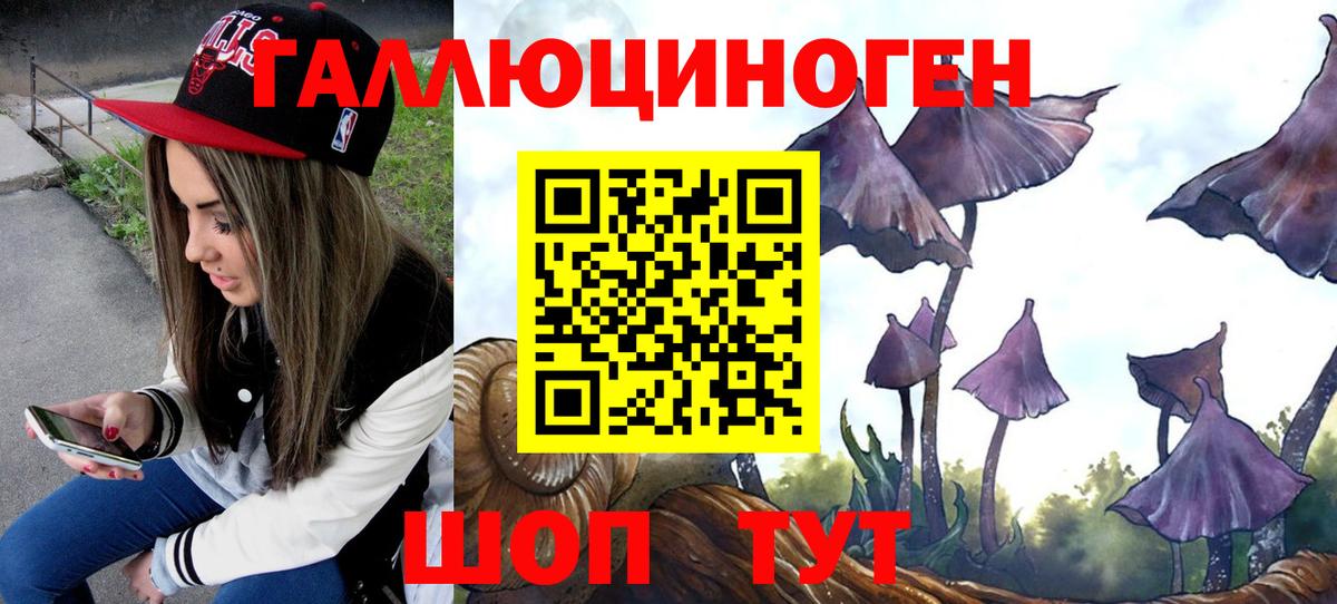 Псилоцибиновые грибы GOLDEN TEACHER  Вход с VPN  Псилоцибиновые грибы Psilocybe  Семилуки 