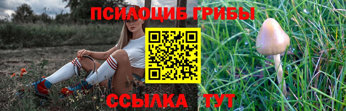 Псилоцибиновые грибы Psilocybine cubensis Семилуки